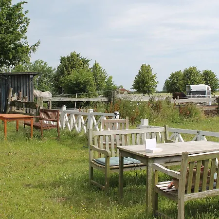 Alte Budnerei G Apartment *